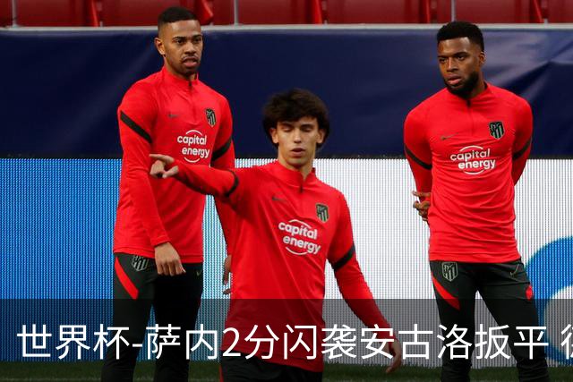 世界杯-萨内2分闪袭安古洛扳平 德国半场1-1厄瓜多尔